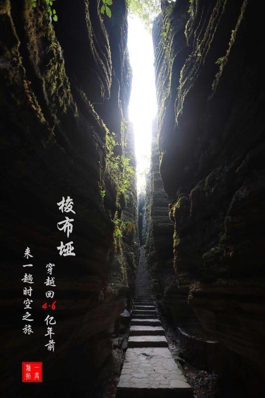 江原道冬青奥会,龙江小将杨婧茹为中国代表团夺得首金